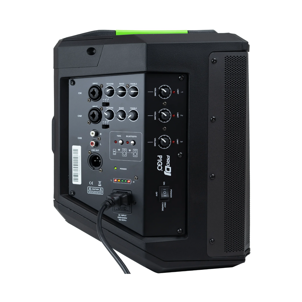 Parlante recargable Pro DJ P1 GO de 6.5 pulgadas con Bluetooth