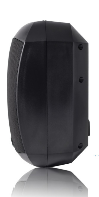 Parlante de pared Dream Sound XPM-640DS de 6,5 pulgadas gris con protección IP66