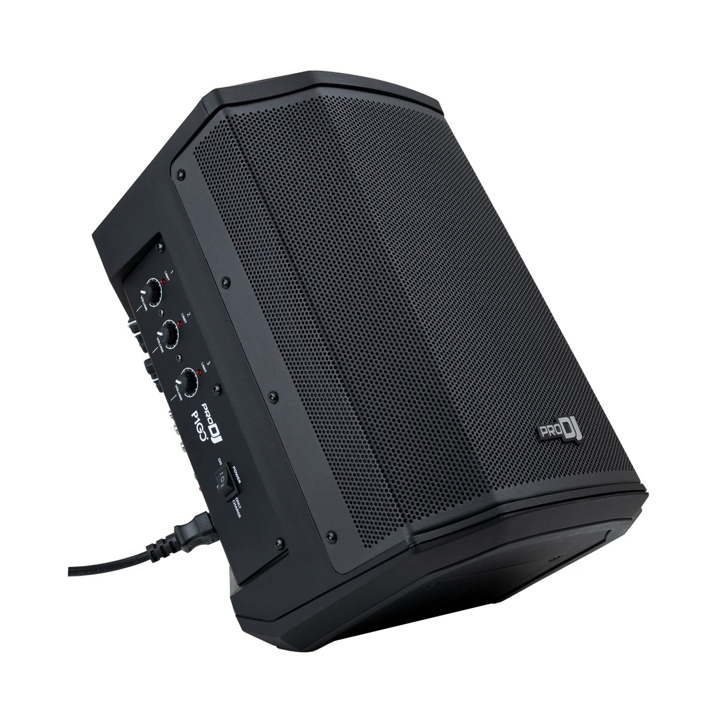 Parlante recargable Pro DJ P1 GO de 6.5 pulgadas con Bluetooth