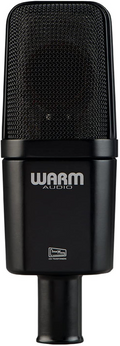 Micrófono de condensador Warm Audio WA-14 negro de diafragma grande
