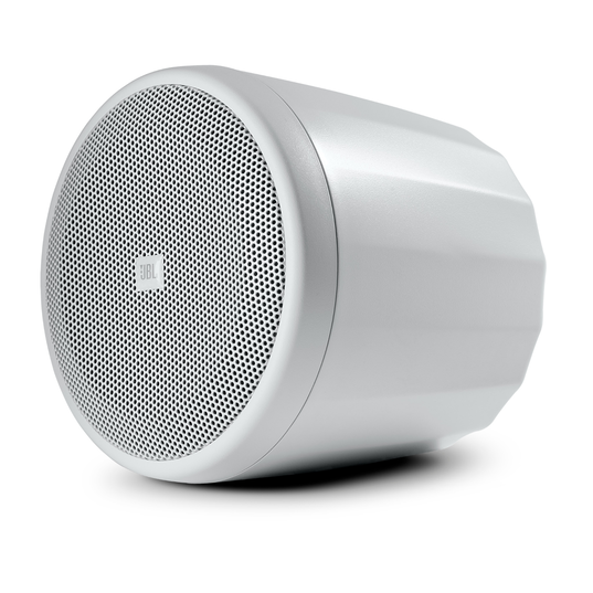 Parlante colgante JBL Control 62P gris ultracompacto para sonido ambiental