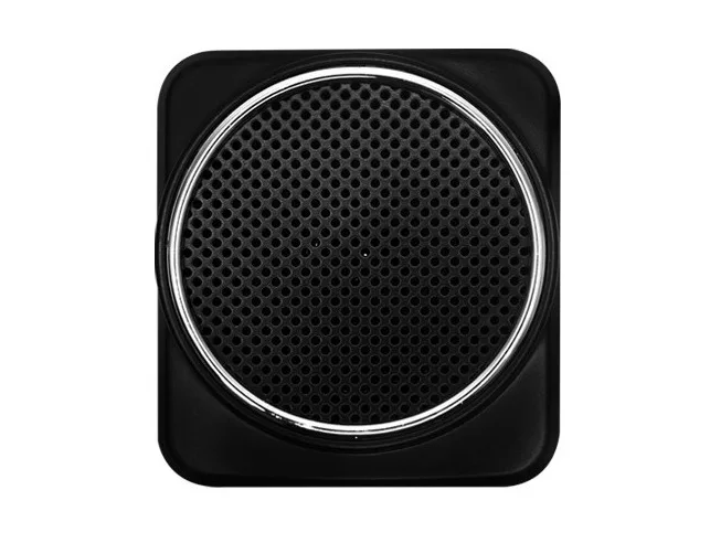 Amplificador de voz portátil recargable RXE APF-10W de 10 W