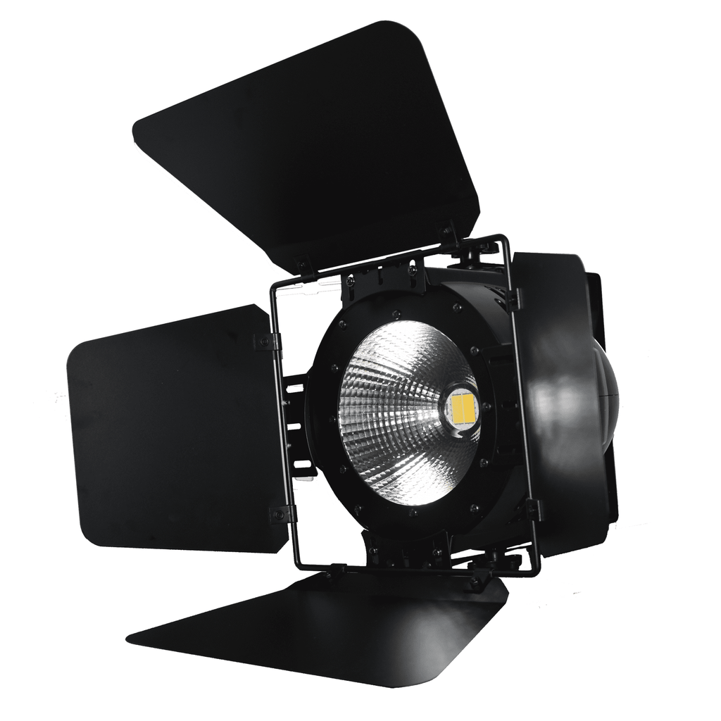 Nightsun SPC100P Par LED luz fría y cálida