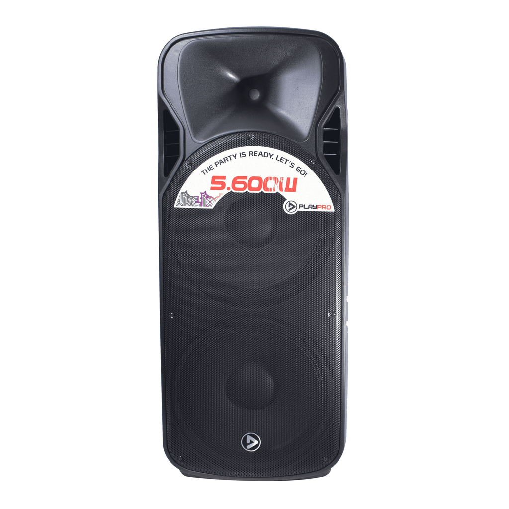 PlayPro P215 Cabina pasiva 15"x2 600 W