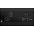 Audac NWP222/B Panel de red Dante 2 XLR con phantom