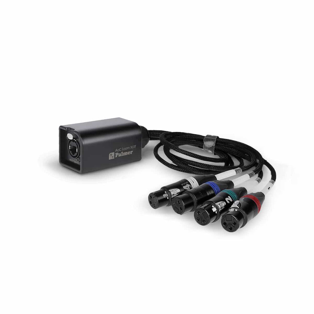 Palmer AoC Loom XLRf Cable adaptador Audio over Cat etherCON a 4 XLR hembra
