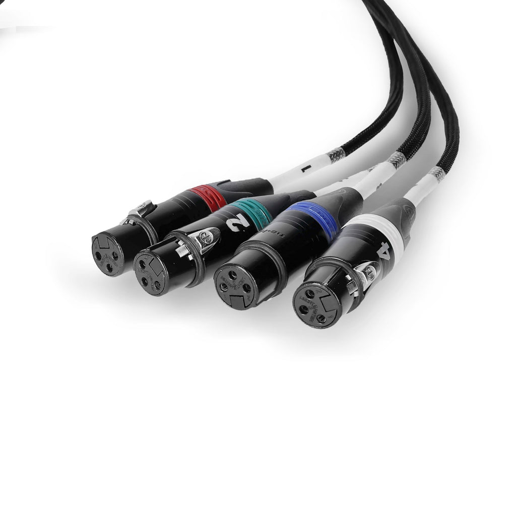Palmer AoC Loom XLRf Cable adaptador Audio over Cat etherCON a 4 XLR hembra