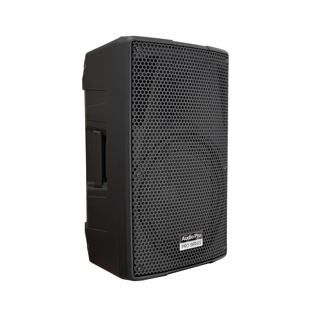AudioPro 10PRO PASIVE Cabina pasiva 10" full rango