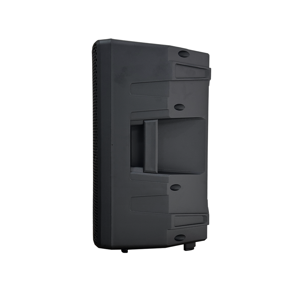 AudioPro PRO10X Parlante de 10" Bluetooth