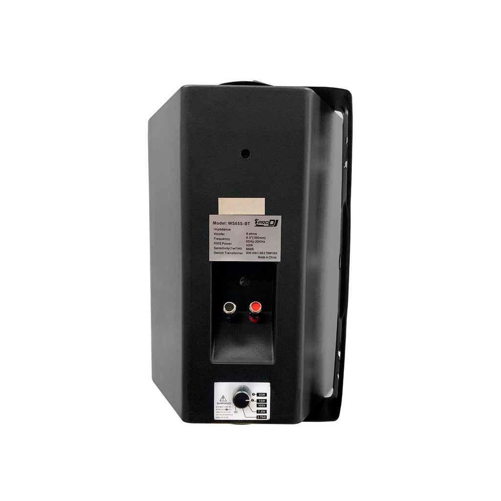 Pro DJ WS65S-BT Parlante de pared 6.5" (par)