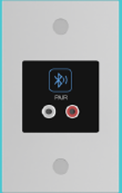 Dream Sound XCI-22BD Punto de conexión Bluetooth Dante de pared