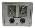 Soundking CESKAJ202 Panel con 2 XLR hembra de 3 pines y 2 jack ¼ hembra