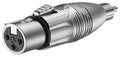 Roxtone RA2XFPM Adaptador RCA macho a XLR hembra 3 polos